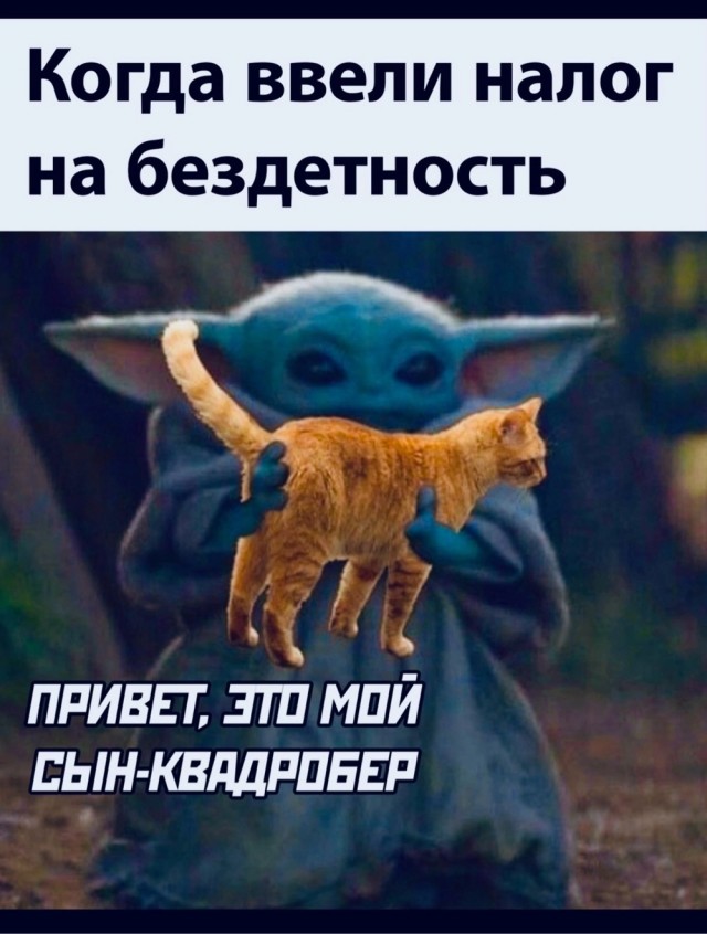 Весёлый полтишок 01.11.24