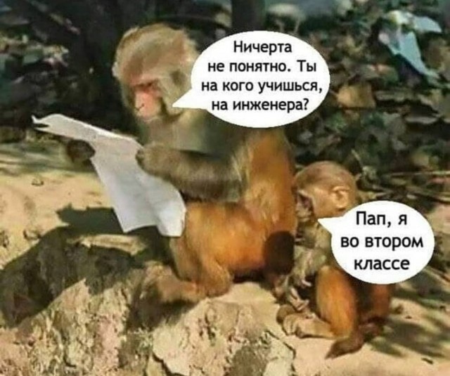 Иностранный специалист