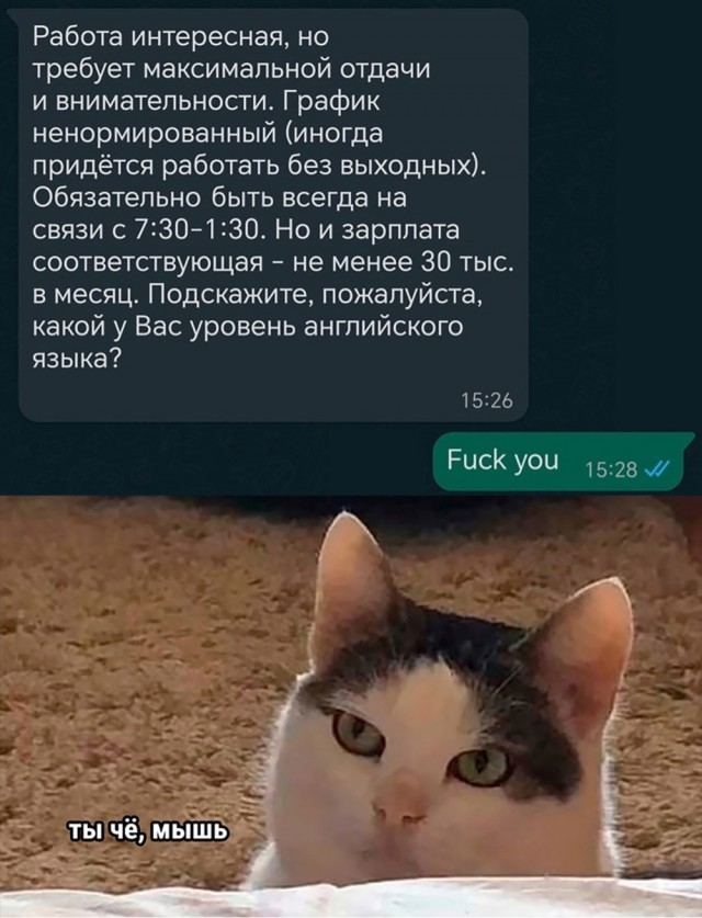 Разгоняем тоску