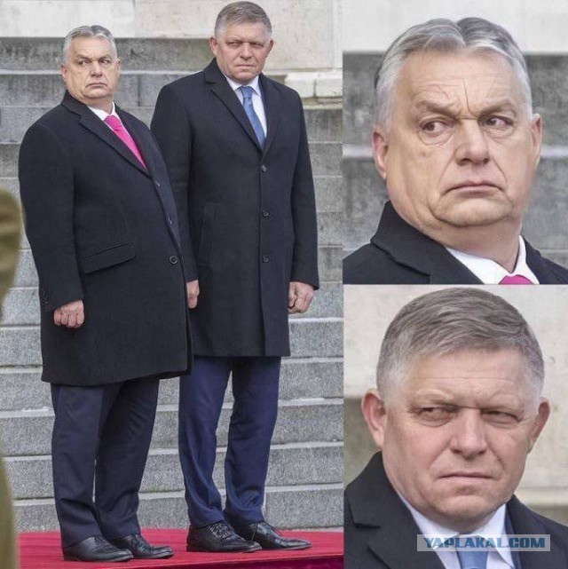Фицо подрывает устои демократии