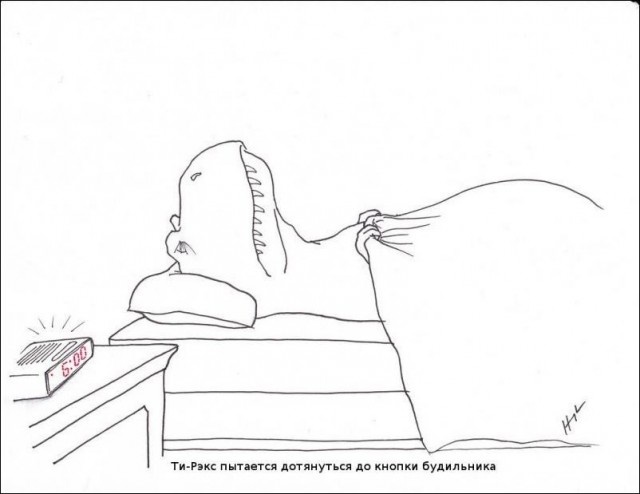 Почему крокодилы злые?