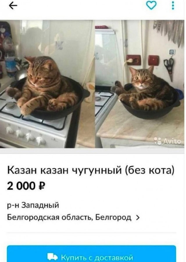 Так себе картинки 10.12.24