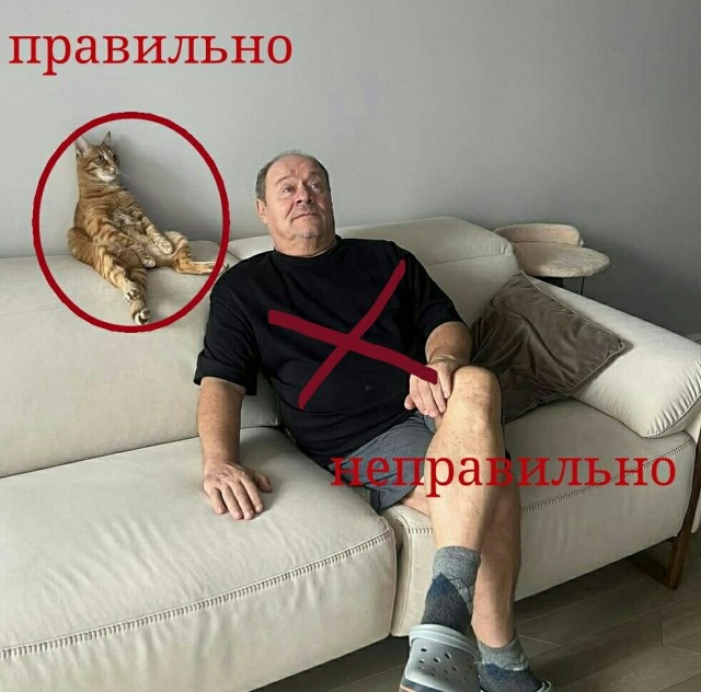 Барсик, ё-моё