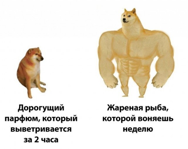 Веселые картинки во Всемирный день энергоэффективности (05.03)