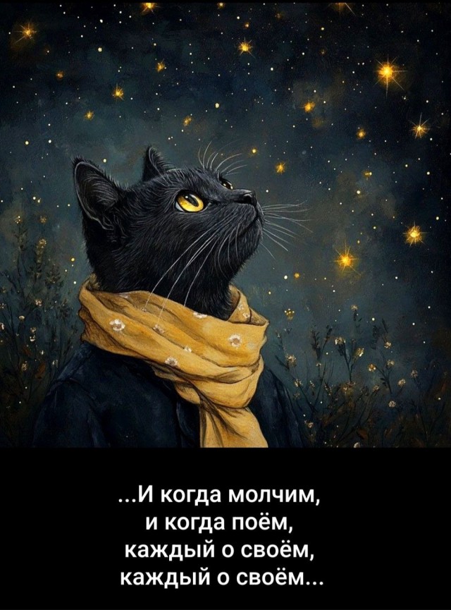 Прикольные и просто красивые картинки 16.05.2025