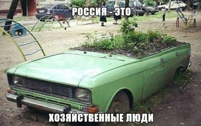 Так себе картинки 30.06.25