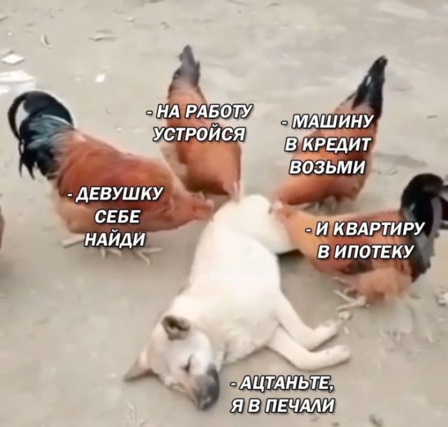 Так себе картинки 18.08.25