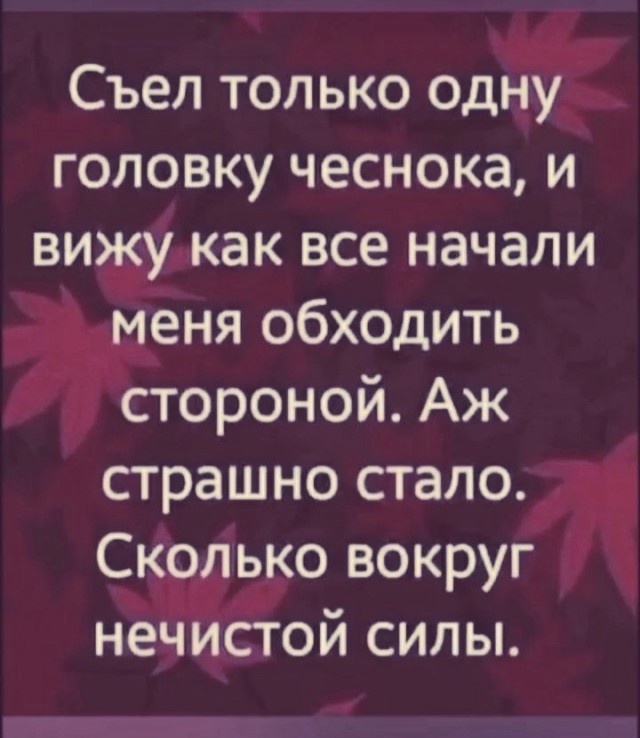 Маленькая пятница 20.08.25