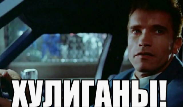 В Приморье выпившая девушка показала грудь инспекторам ДПС