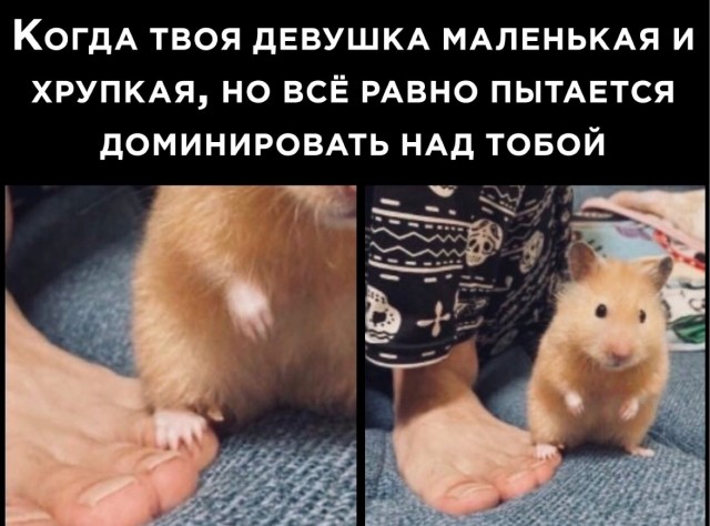 Картинки для деградации 47 (разной степени свежести)