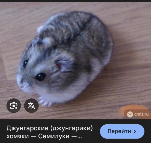 Братья казахи! С праздником!