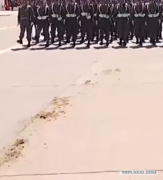 Женские войска Чили 2025. Кусочек Военного парада в День Славы чилийской армии