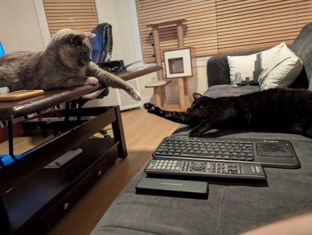 Станция передала чтото там