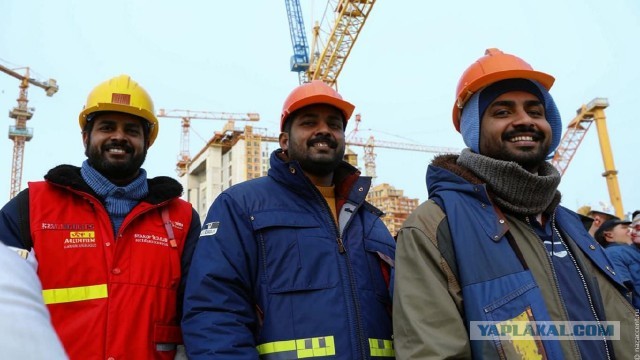 В Россию в 2026 году могут приехать 40 тыс. трудовых мигрантов из Индии