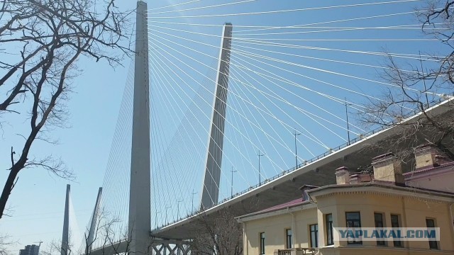 А какой у вас сегодня вид за окном?