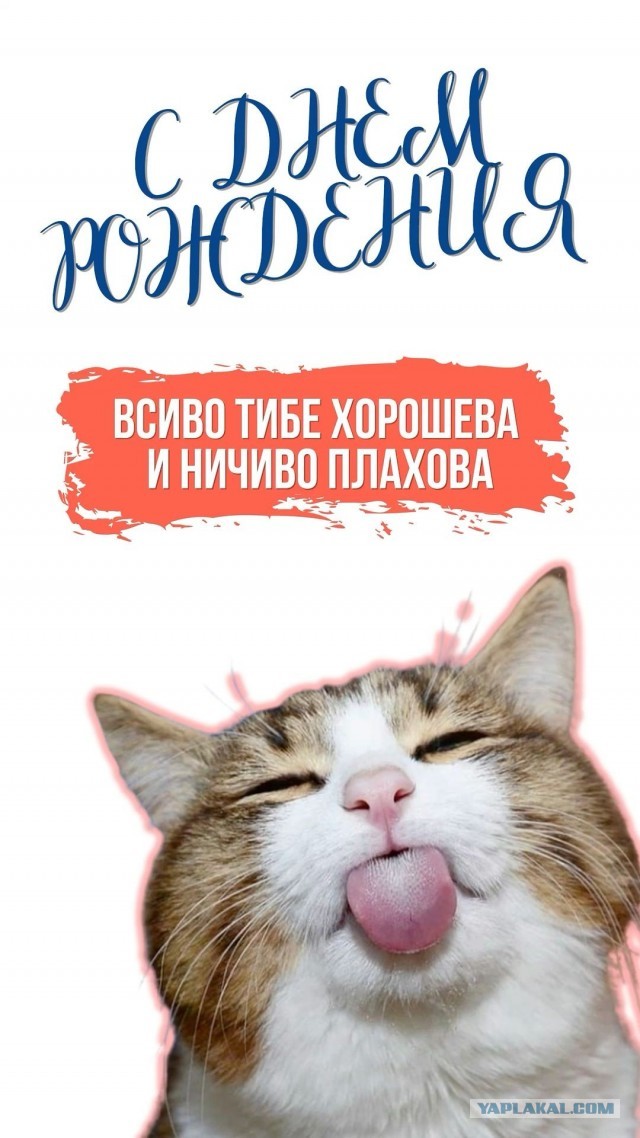 ЯПлакал, с Днём Рождения!
