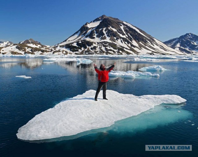 Красота! Лето на Ямале. Фото