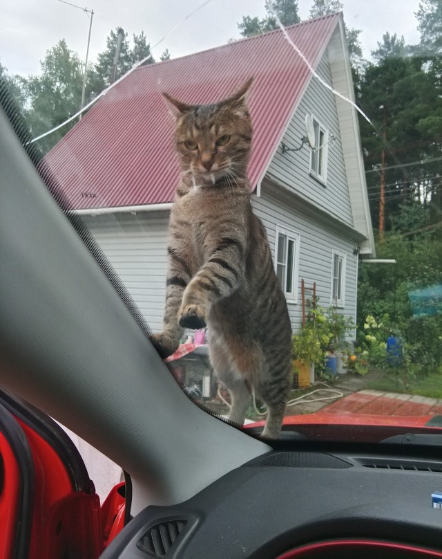 Продолжаю отпуск!