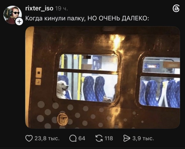 Картинки с юмором для взрослых! 10.10.26
