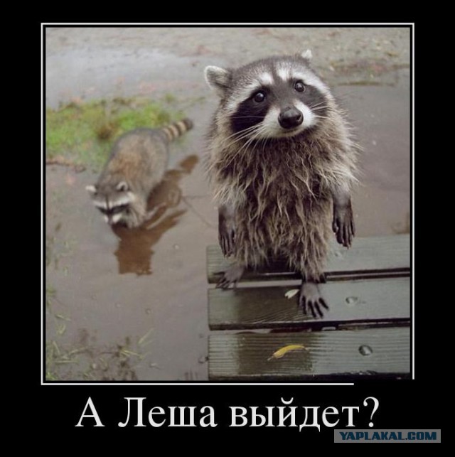 Как надо вести ЖЖ