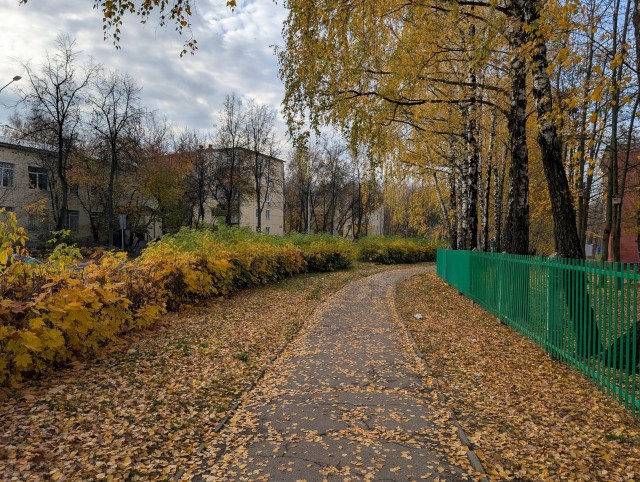 Красивой осени моменты