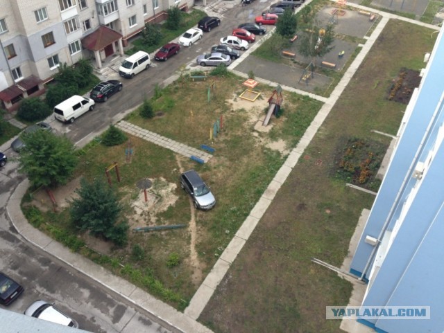 Оставленную на газоне «Тойоту» расписали...