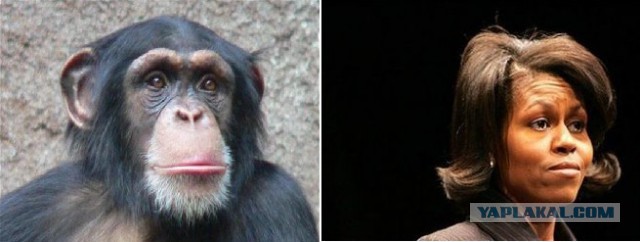 Сирийская девочка