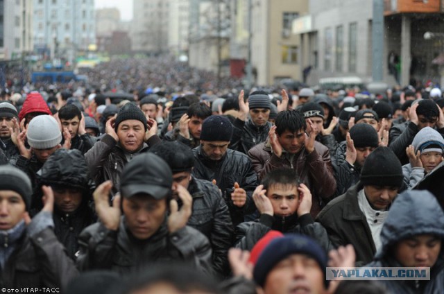 Керчь... заезжие майданники отп......ны