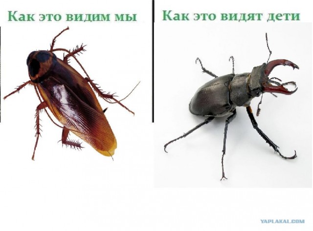 Разность  зрения