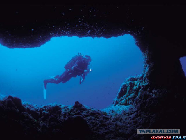 Звезды и их молодые любовники