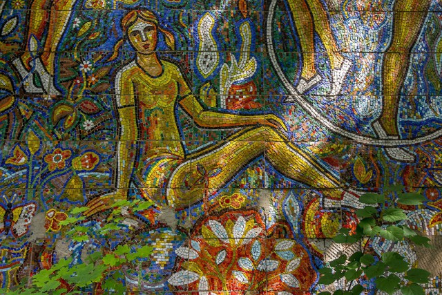 Лесное сокровище