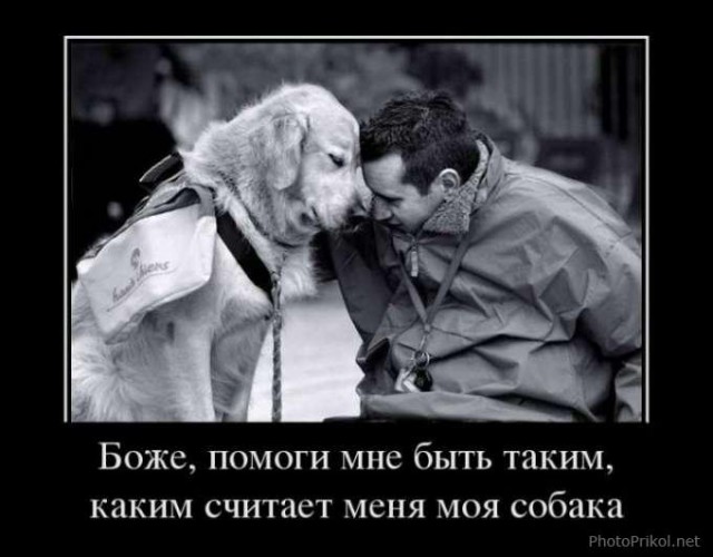 Самые редкие породы собак
