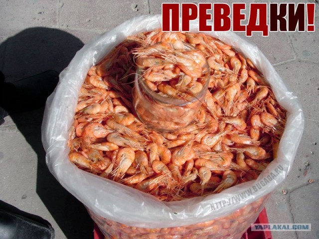 По пивку?