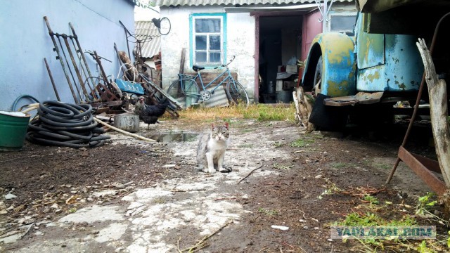 Поездка в деревню в Луганской обл.