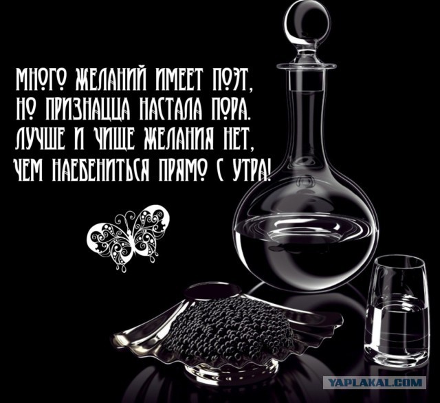 Плюшкиным посвящается