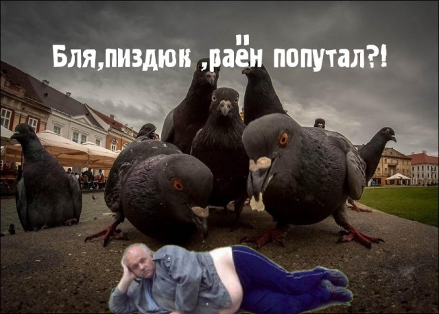 Может пожабим маленько?