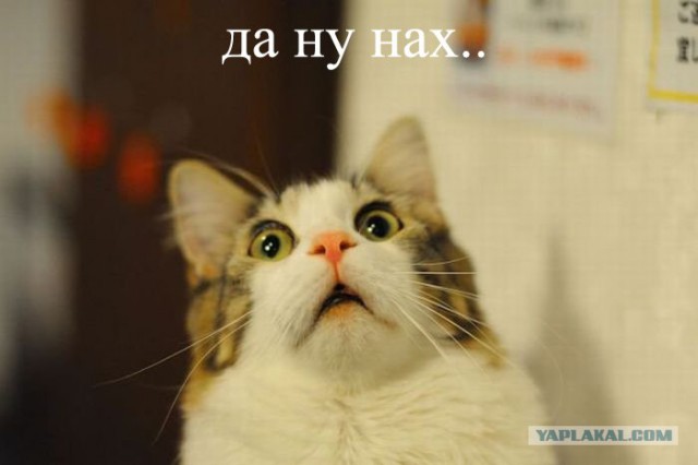 13 одинаковых вещей, которые мужчины и женщины делают по-разному