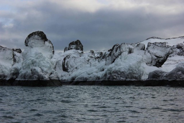 Полтора года зимы