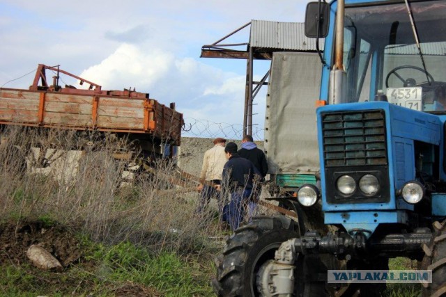 Сельскохозяйственный эксперимент ч. 7