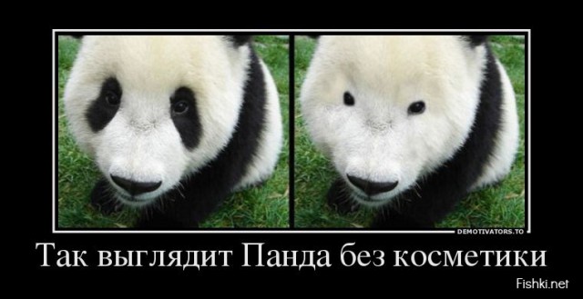 Почему некоторые девушки носят большие солнцезащитные очки даже в помещениях