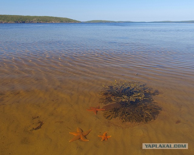 Карелия. Белое море.