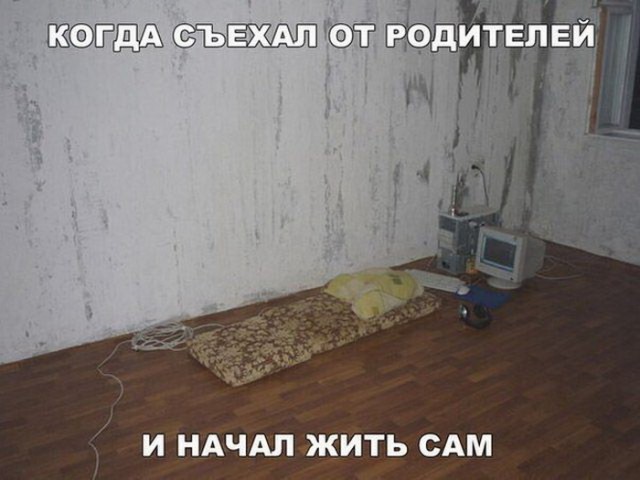 Всякая всячина