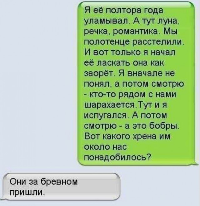 Подборка интересных и веселых картинок