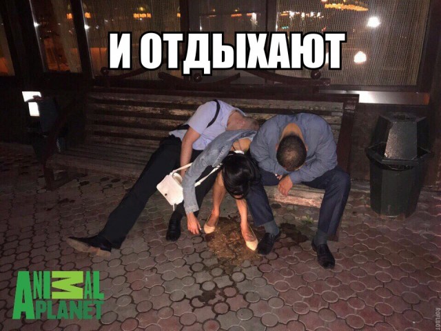 Чудны рабы твои, господи 03.11.17