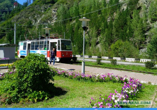 Плотина, горы, котики и красный трамвай: самый красивый трамвайный маршрут России