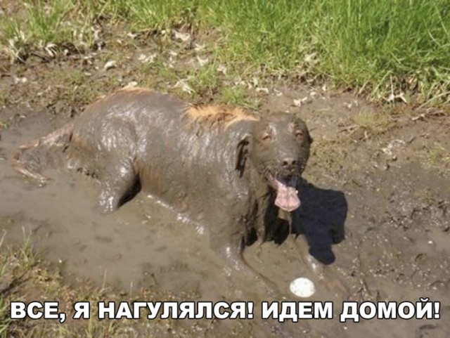 Нестандартный юмор