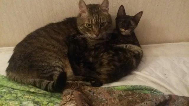 Немного милоты