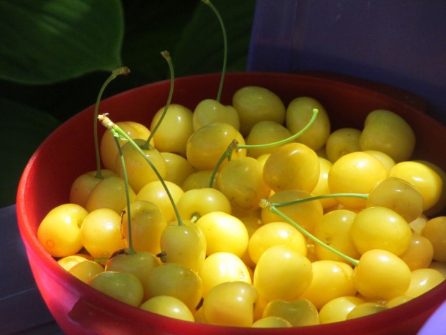 Я лучше куплю, говорят они