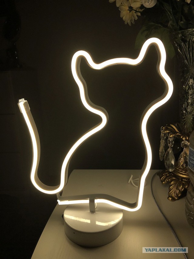 Америка бабе Гале не понравилась с первых минут