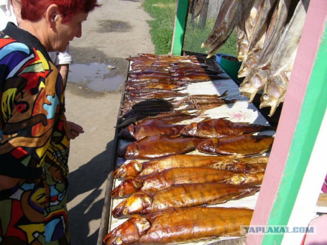 И рыбку съесть и на шконку не сесть